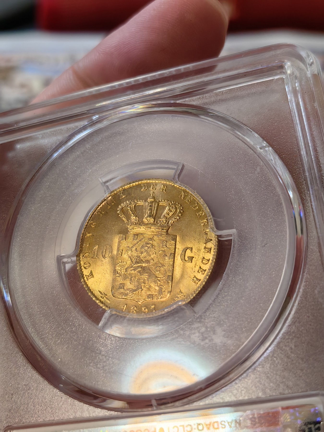 橡树集藏-006场 海纳百川 PCGS-MS64 荷兰 1897年 10盾金币 威廉明娜女王 人见人爱的小萝莉 打制压印十足底板佳 一枚状态很好的小金币 看着使人心情愉悦