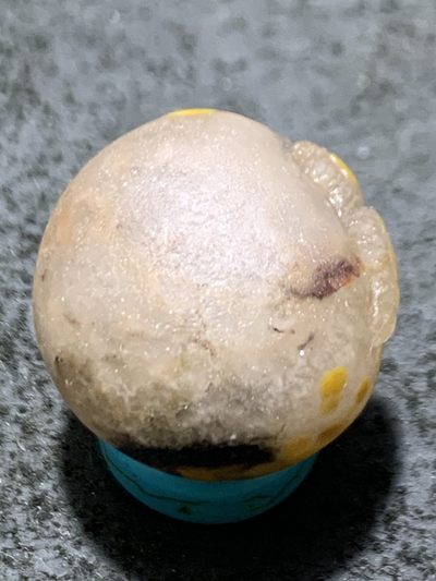 精美冰飘亚光天眼纹战国红玛瑙手工俏色巧雕双鱼珠一个 - 精美冰飘亚光天眼纹战国红玛瑙手工俏色巧雕双鱼珠一个