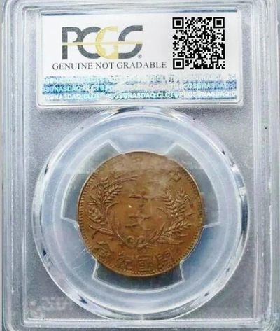 稀少原味民国开国纪念孙像十文铜元PCGS评级AU收藏 