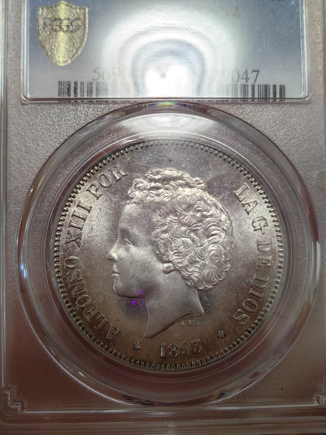橡树集藏-006场 海纳百川 pcgs-Ms64 1893年西班牙5比塞塔大银币 阿方索十三世 爆炸头男童   数据库唯一冠军分，高分顶级品相，双面pl感十足，镜面感强烈。底板完美打制佳，双面深打，浮雕完美，头发丝丝入扣，实物绝美。车轮流银强霜光，西属大热门。可爱微笑男童，肥嘟嘟小脸。
