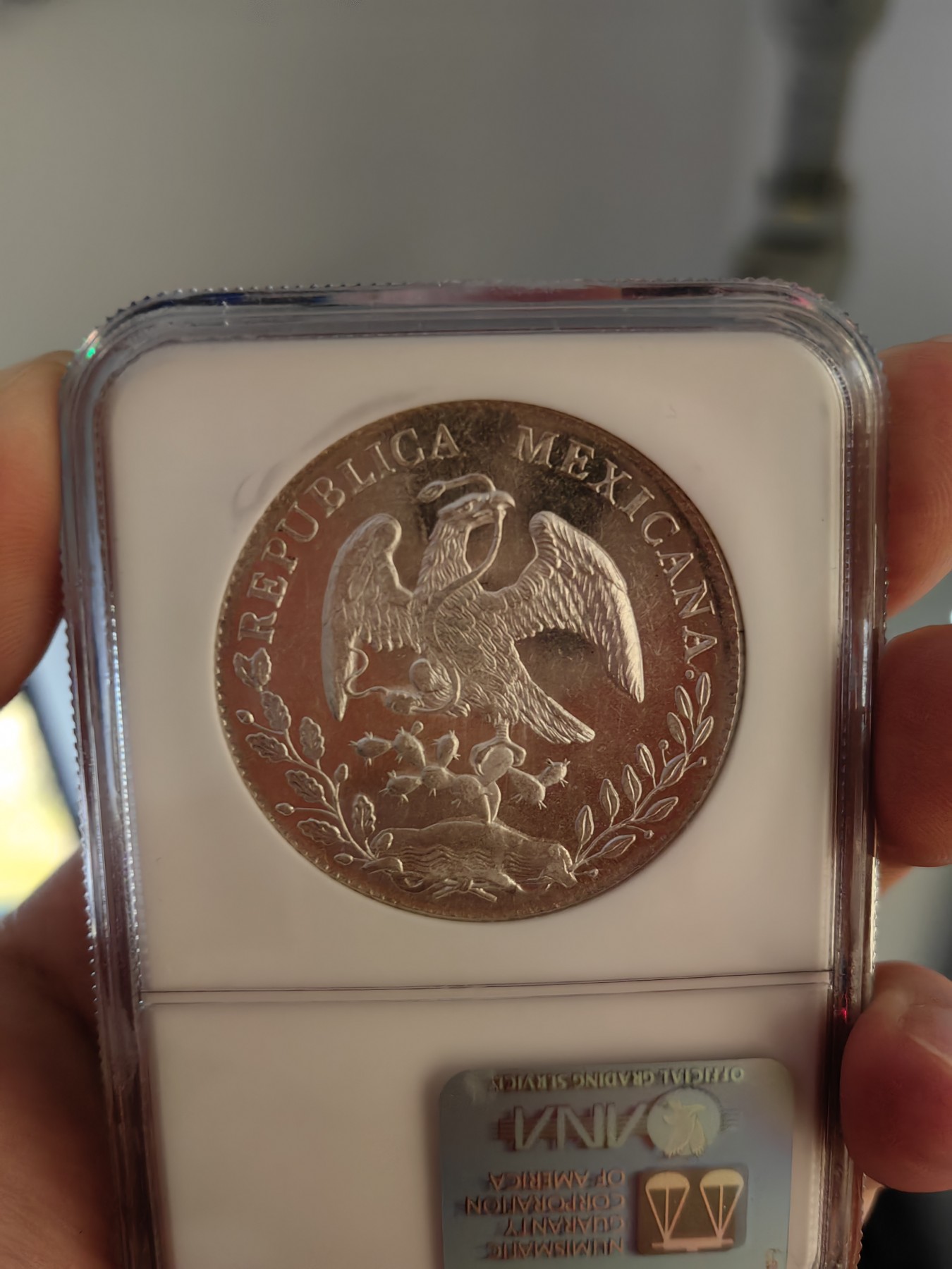 橡树集藏-006场 海纳百川 NGC-MS64PL  1896年墨西哥 8R鹰洋，罕见又养眼的类镜面凝霜效果 冠军分！！！实物绝美，顶级观感。