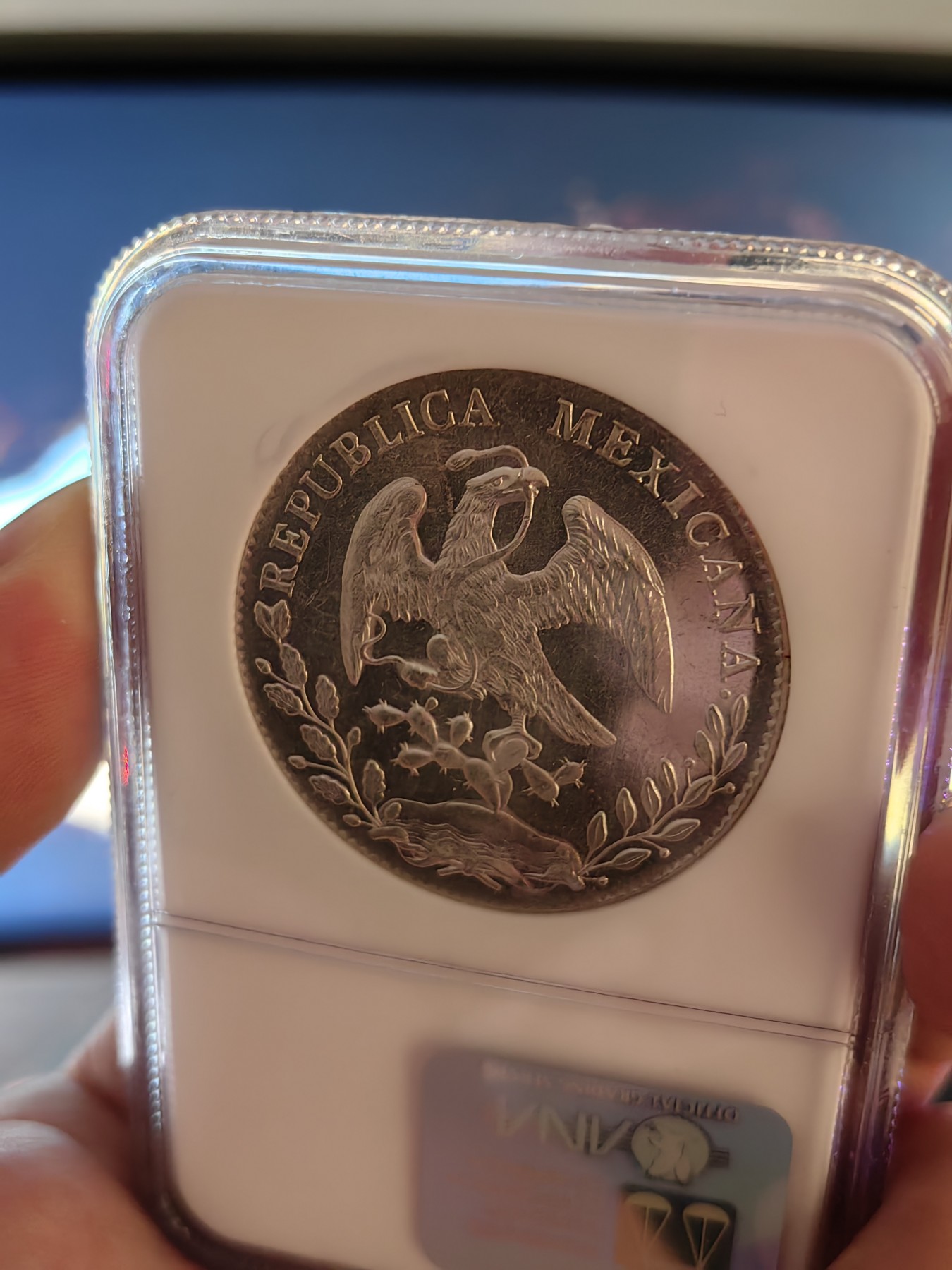 橡树集藏-006场 海纳百川 NGC-MS64PL  1896年墨西哥 8R鹰洋，罕见又养眼的类镜面凝霜效果 冠军分！！！实物绝美，顶级观感。