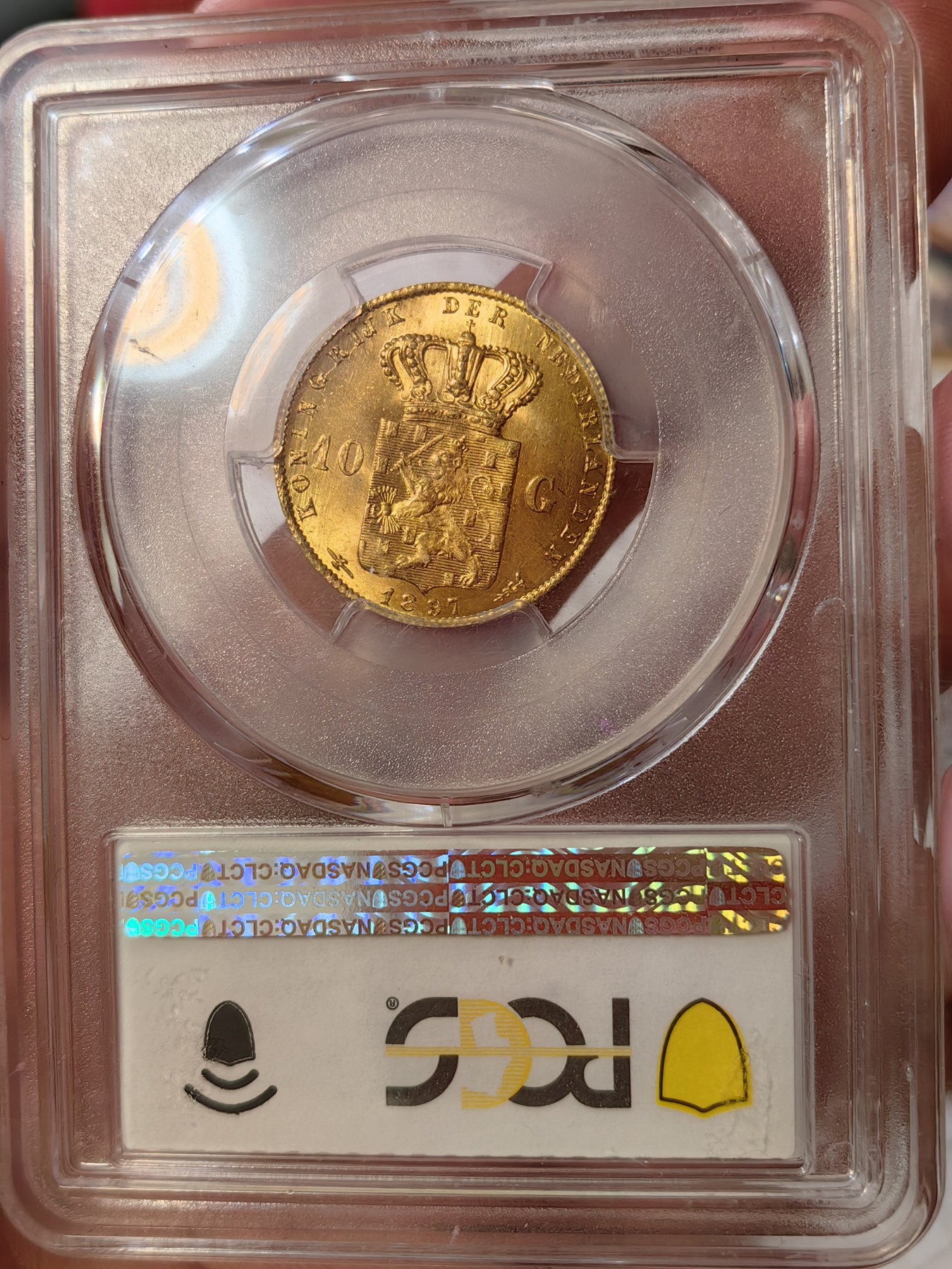 橡树集藏-006场 海纳百川 PCGS-MS64 荷兰 1897年 10盾金币 威廉明娜女王 人见人爱的小萝莉 打制压印十足底板佳 一枚状态很好的小金币 看着使人心情愉悦