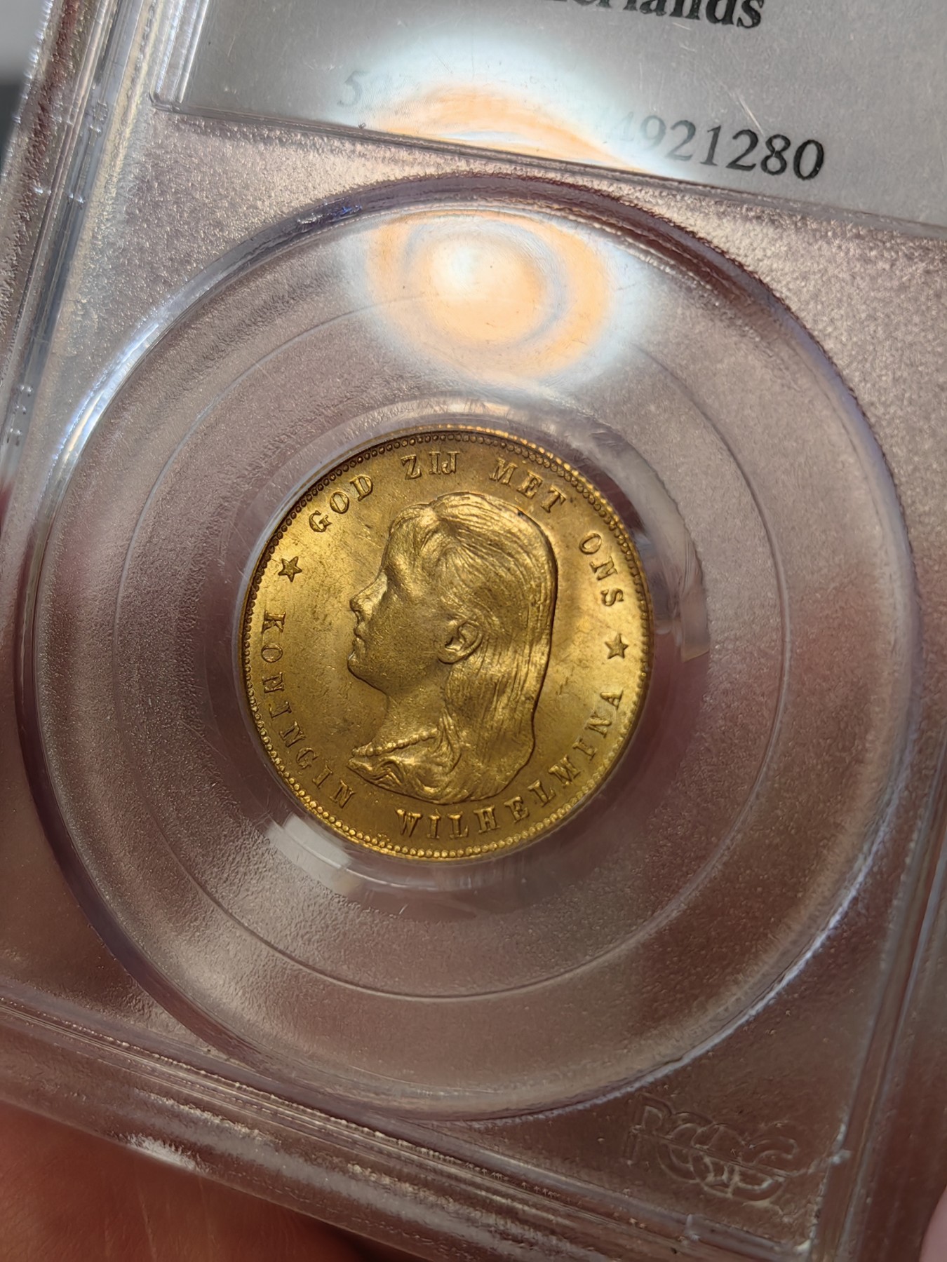 橡树集藏-006场 海纳百川 pcgs-ms64 1897年荷兰威廉明娜10盾金币 可爱的小萝莉 底板打制皆好 pc老盒严评 状态极佳 搏分潜力股
