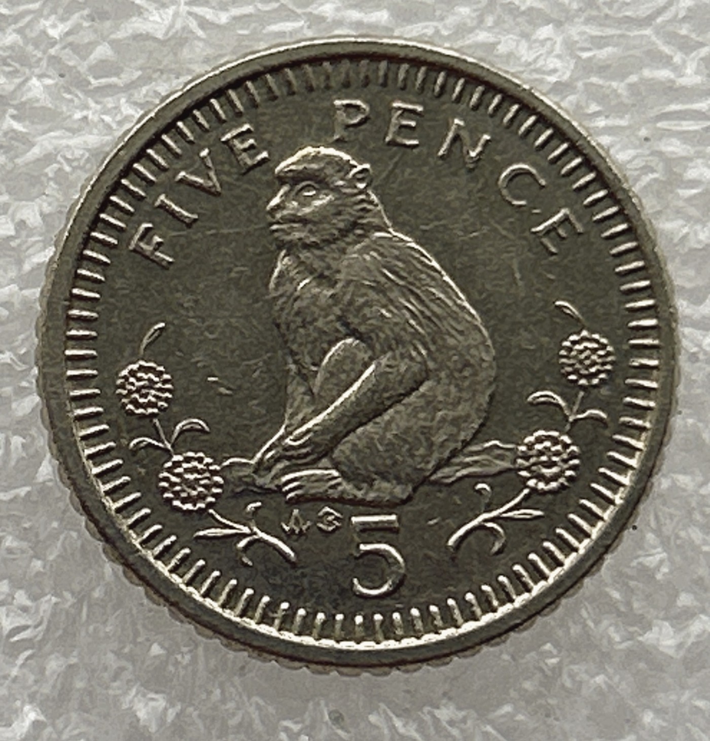 全场一元起拍 世界钱币散币场 第五期 1990年 英属直布罗陀硬币5便士 动物 猴