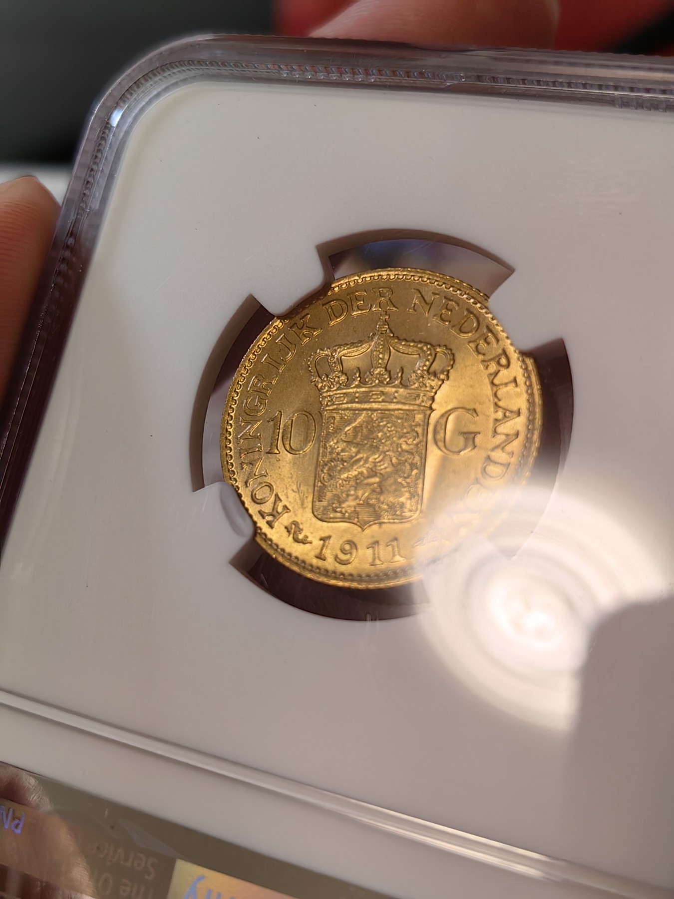 橡树集藏-006场 海纳百川 ngc-ms64 1911年荷兰10盾金币 少妇威廉明娜 状态不错