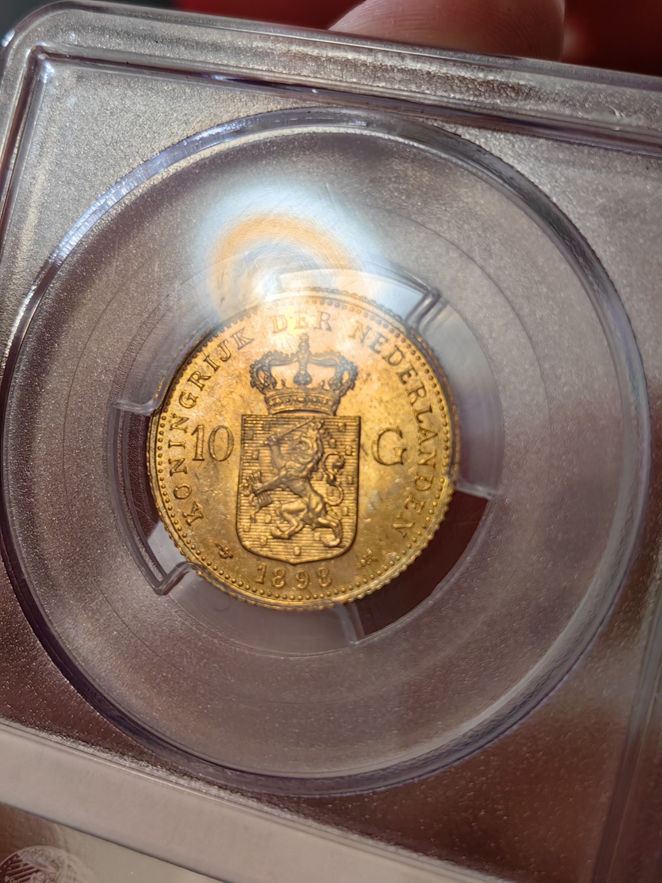 橡树集藏-006场 海纳百川 pcgs-ms64 1898年荷兰威廉明娜10盾金币 可爱的小萝莉 底板打制皆好 状态极佳  高分皇冠萝莉头 非常少见 金光四溢 自藏佳品