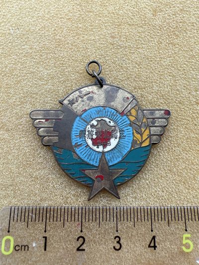 早期纪念章徽章专拍 - 解放东北纪念