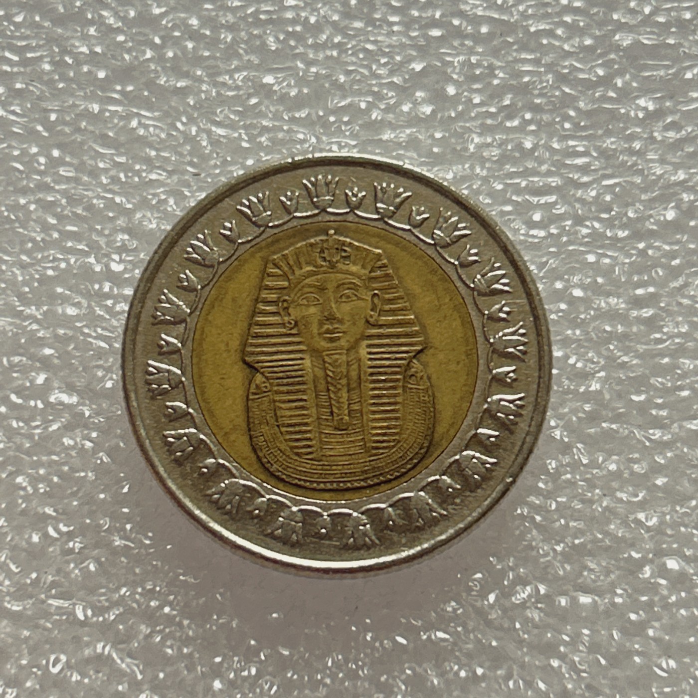 全场一元起拍 世界钱币散币场 第五期 埃及1镑 图坦卡蒙法老狮身人面像 双色币 