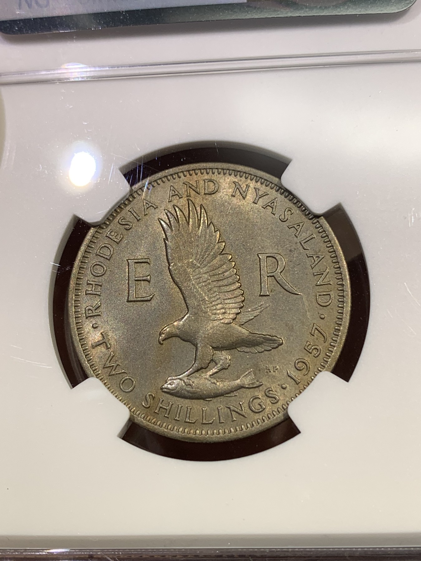 《竞宝斋》第180场-周日，周一2场 (全场包邮) NGC-MS62 1957年罗德西亚1弗洛林，不多见的品种，仅发行3个年份。伊丽莎白女王年轻头像，雄鹰攫鱼翱翔，设计独特。