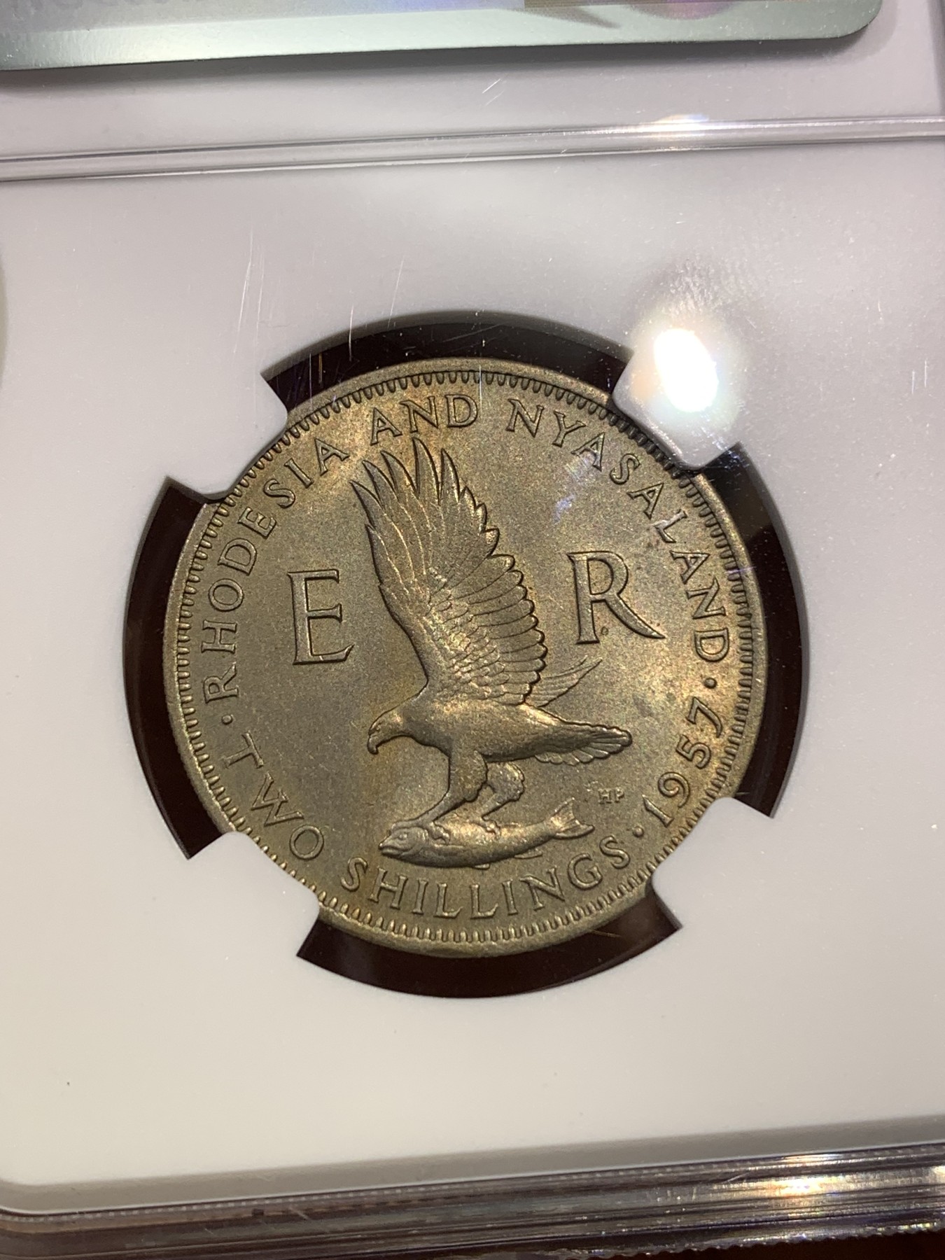 《竞宝斋》第180场-周日，周一2场 (全场包邮) NGC-MS62 1957年罗德西亚1弗洛林，不多见的品种，仅发行3个年份。伊丽莎白女王年轻头像，雄鹰攫鱼翱翔，设计独特。