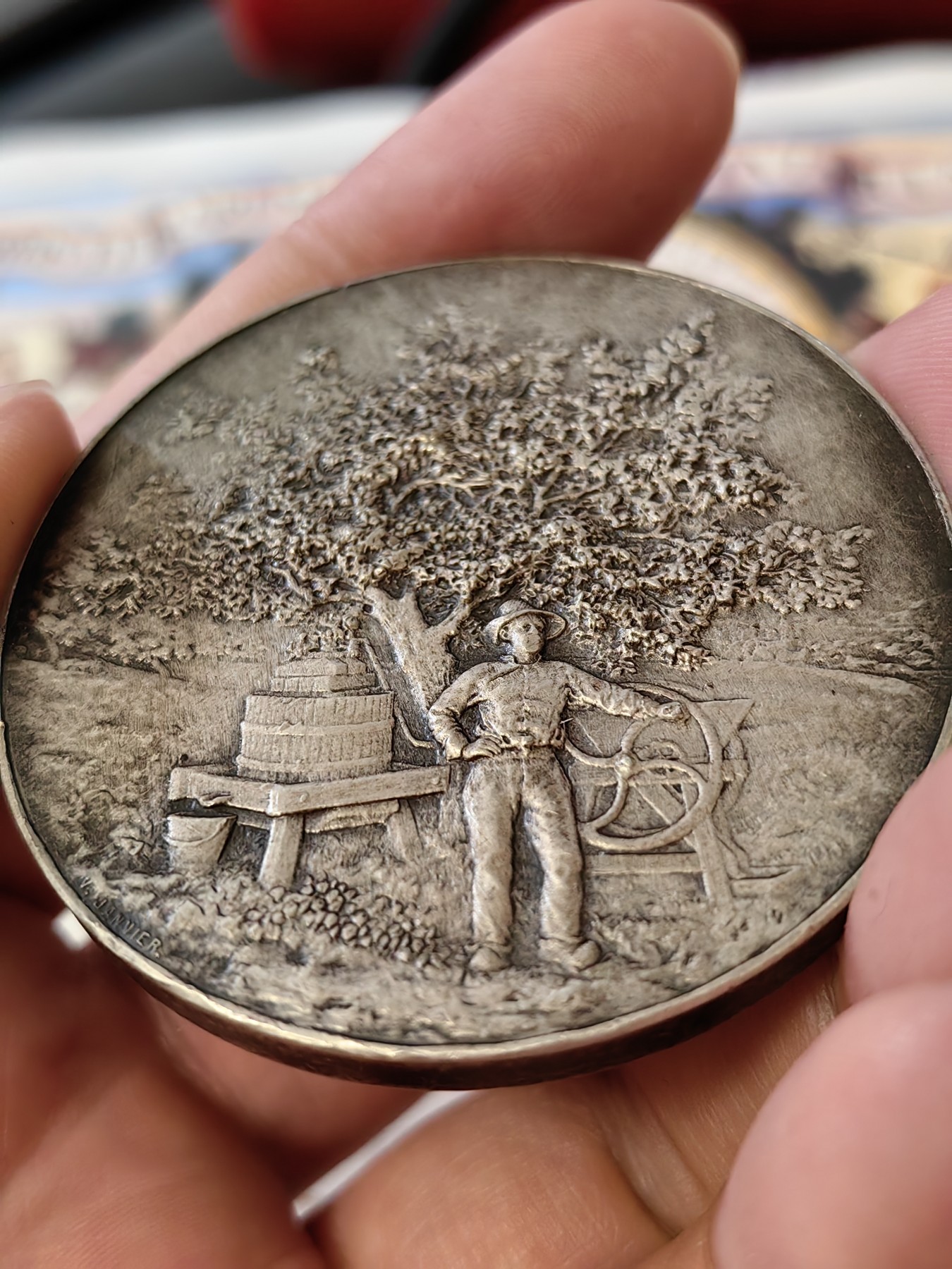 橡树集藏-006场 海纳百川 法国果树协会银章 刻画极其精细 丰饶角银标