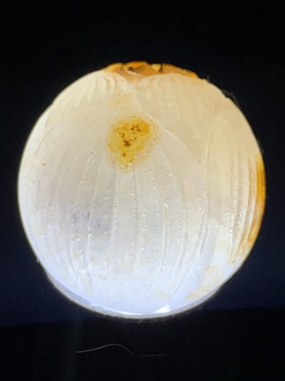 精美满冰原皮亚光战国红玛瑙手工雕刻莲花珠一个， 精美满冰原皮亚光战国红玛瑙手工雕刻莲花珠一个，