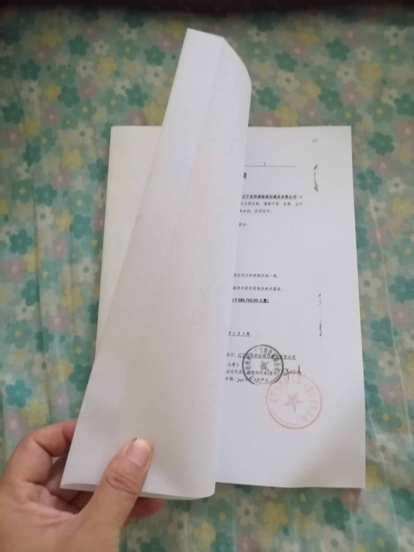 投标文件