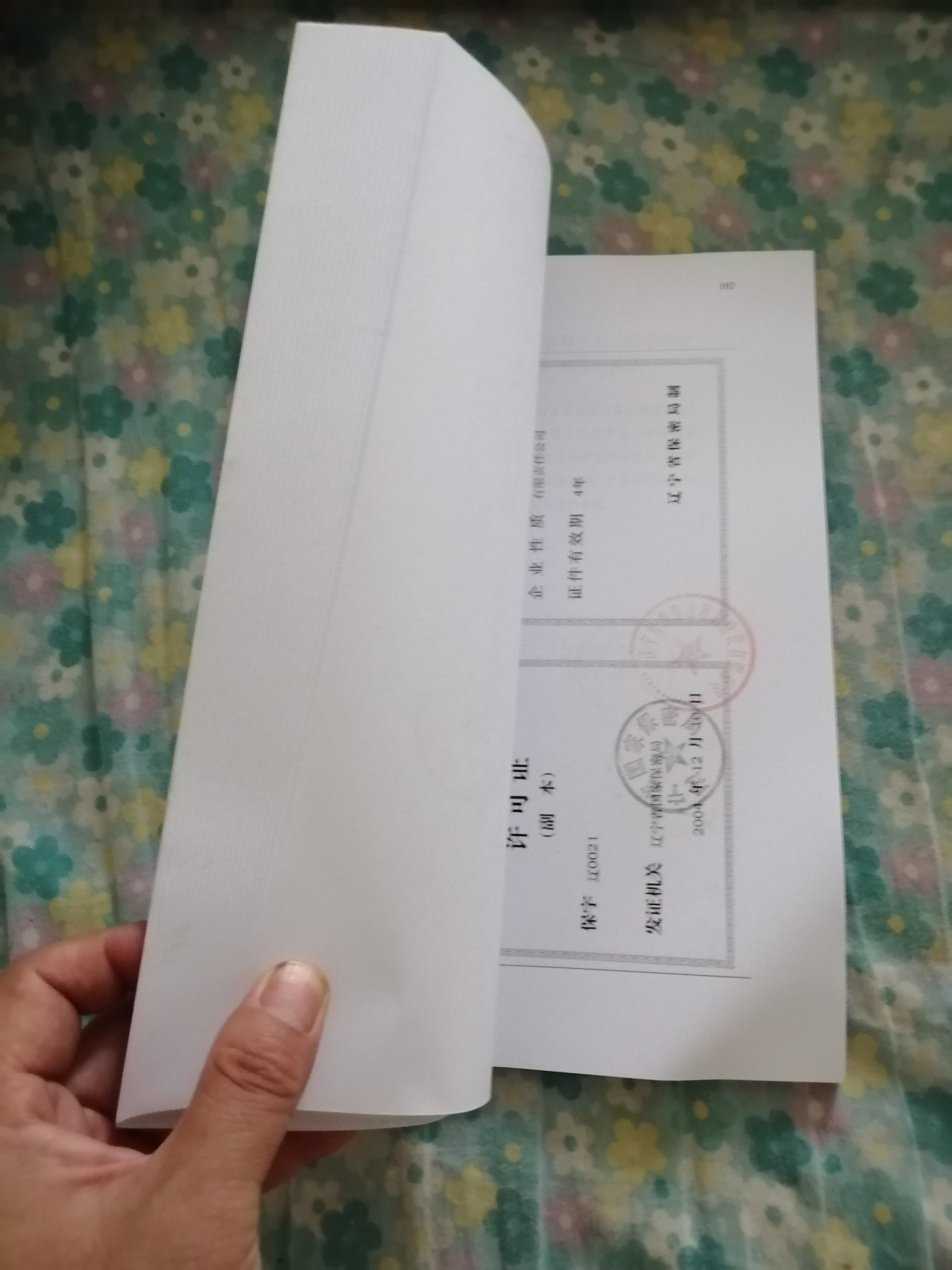 投标文件
