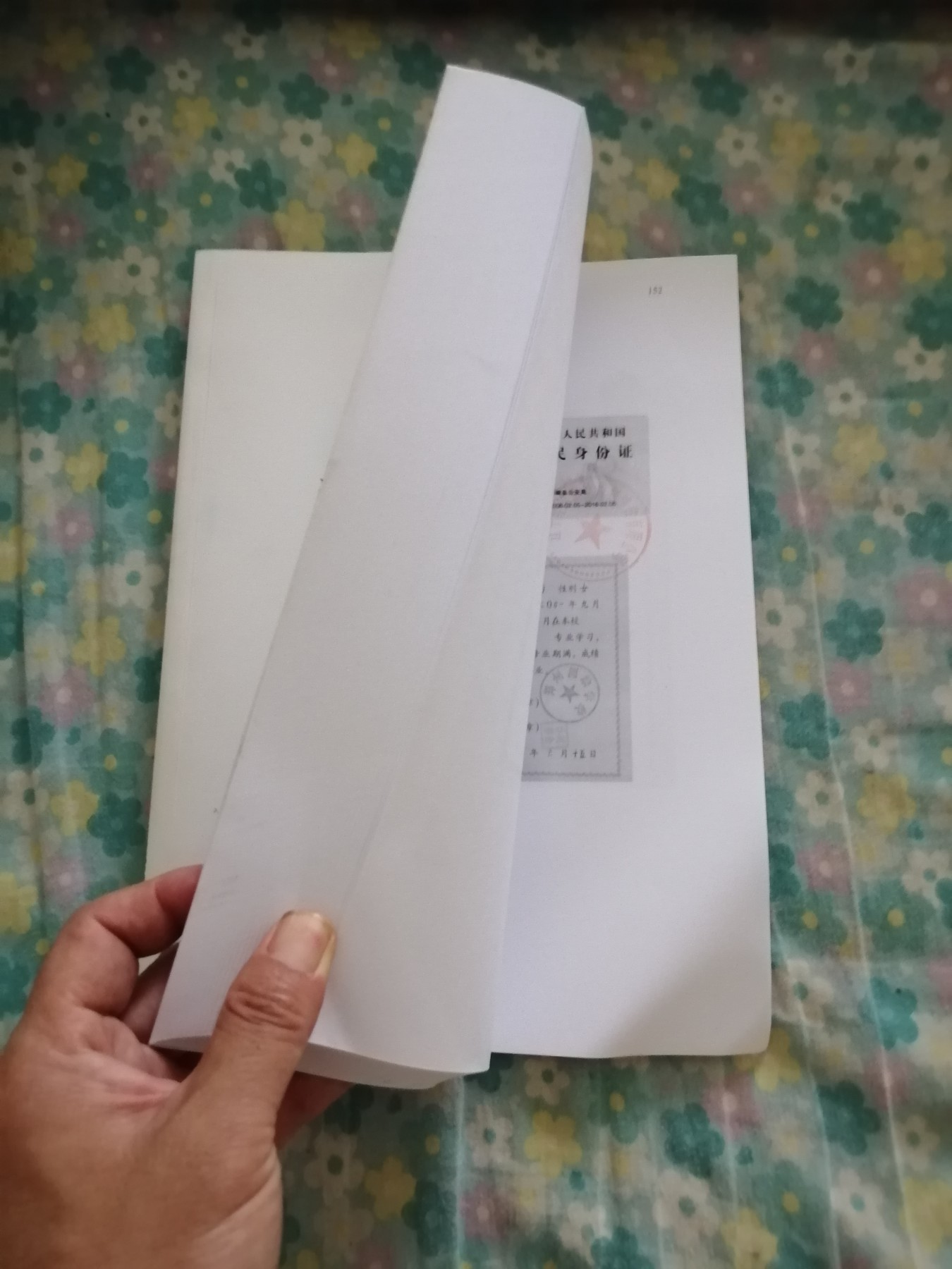 投标文件