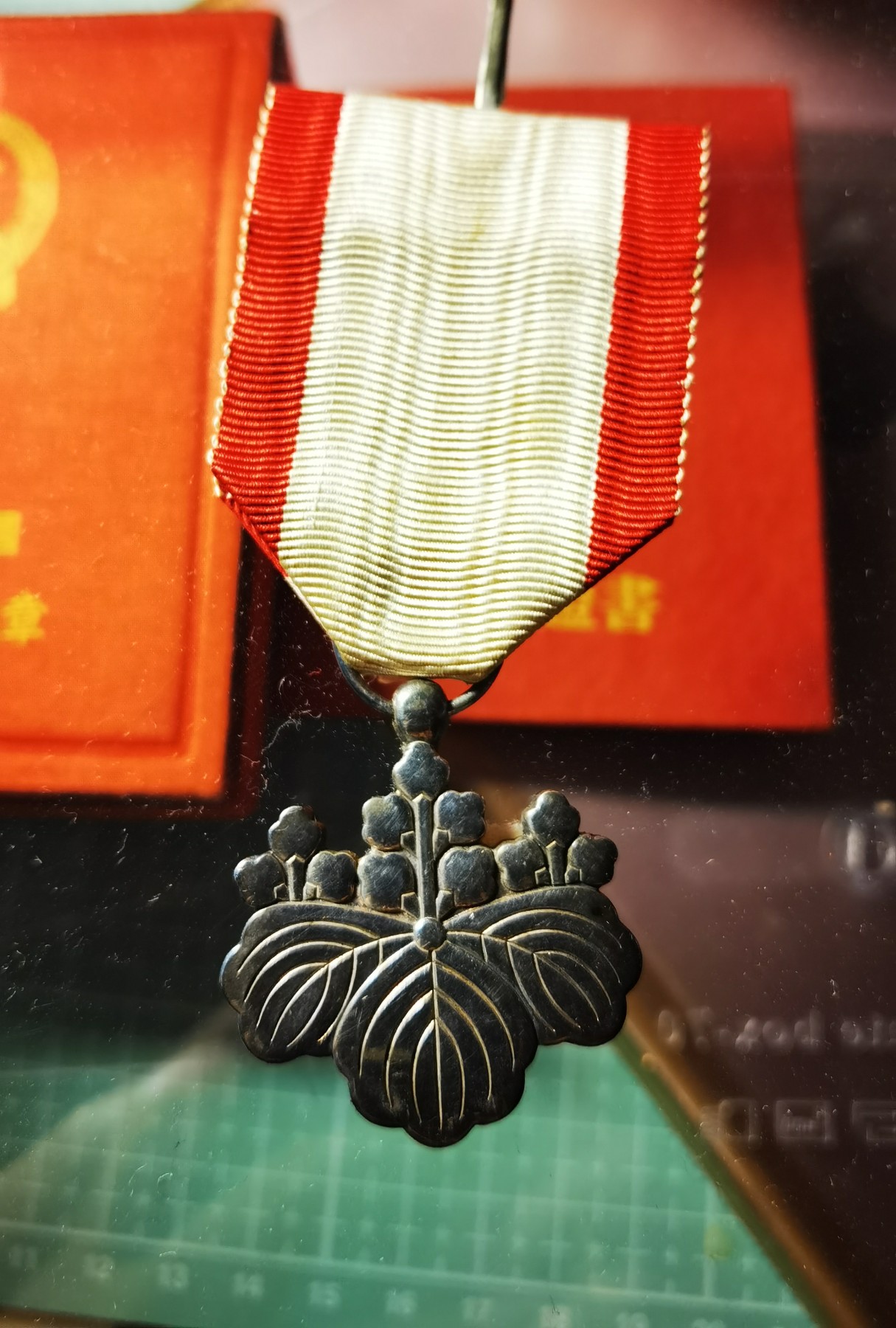 小杏藏品清理行动 白叶裸章