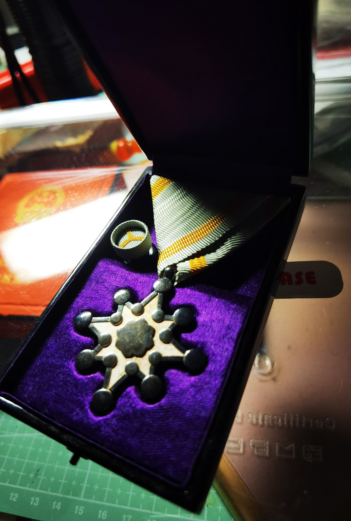 小杏藏品清理行动 战时 勋八等瑞宝章