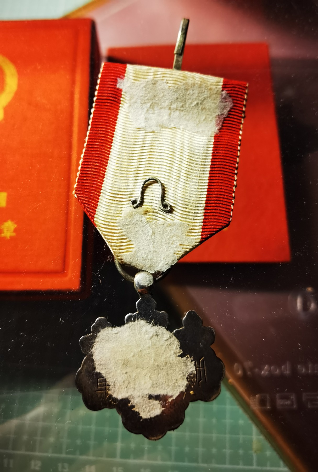 小杏藏品清理行动 白叶裸章