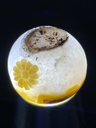 精美亚光高玉化冰飘战国红玛瑙手工俏色巧护花使者随形珠子一颗！ 精美亚光高玉化冰飘战国红玛瑙手工俏色巧护花使者随形珠子一颗！