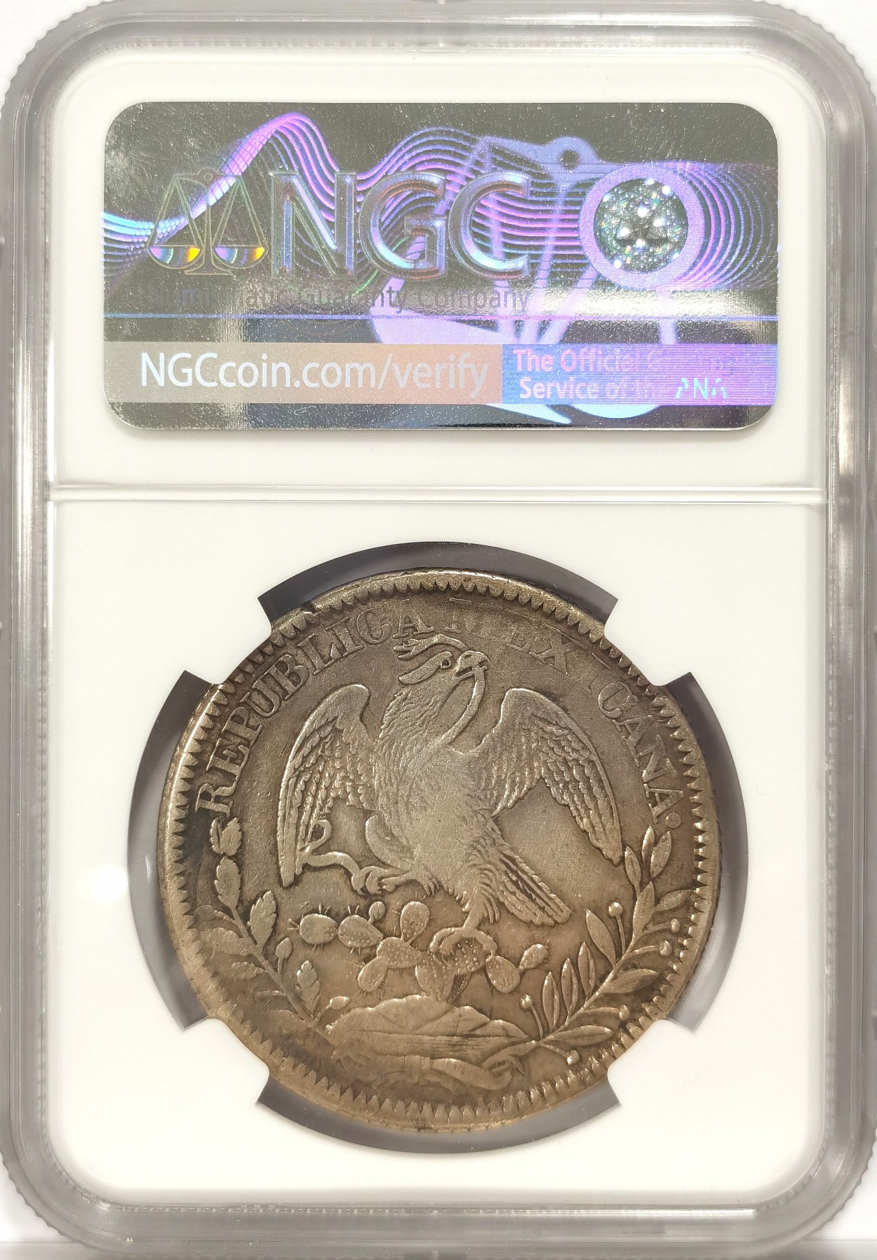 博洋堂世界钱币拍卖第034期（全场包邮） NGC XFD 墨西哥1839年ZS OM版早期花边鹰洋