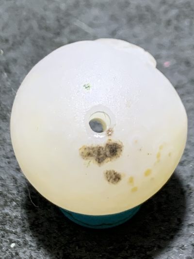 精美亚光冰飘高润度战国红玛瑙手工俏色巧雕金鱼2.0圆珠一个！ 精美亚光冰飘高润度战国红玛瑙手工俏色巧雕金鱼2.0圆珠一个！