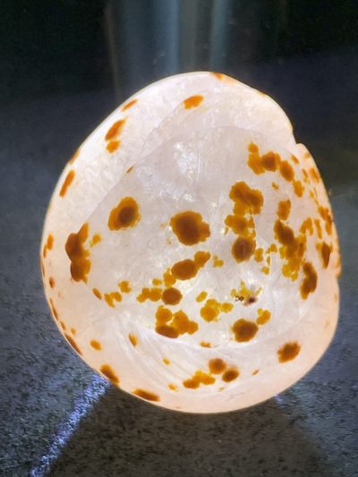 精美冰飘战国红玛瑙雕刻手工俏色巧雕亲嘴鱼把件（吊坠）一个， 精美冰飘战国红玛瑙雕刻手工俏色巧雕亲嘴鱼把件（吊坠）一个，