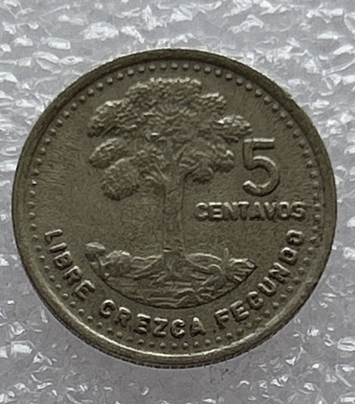 全场一元起拍 世界钱币散币场 第八期 危地马拉1991年5分铜镍币