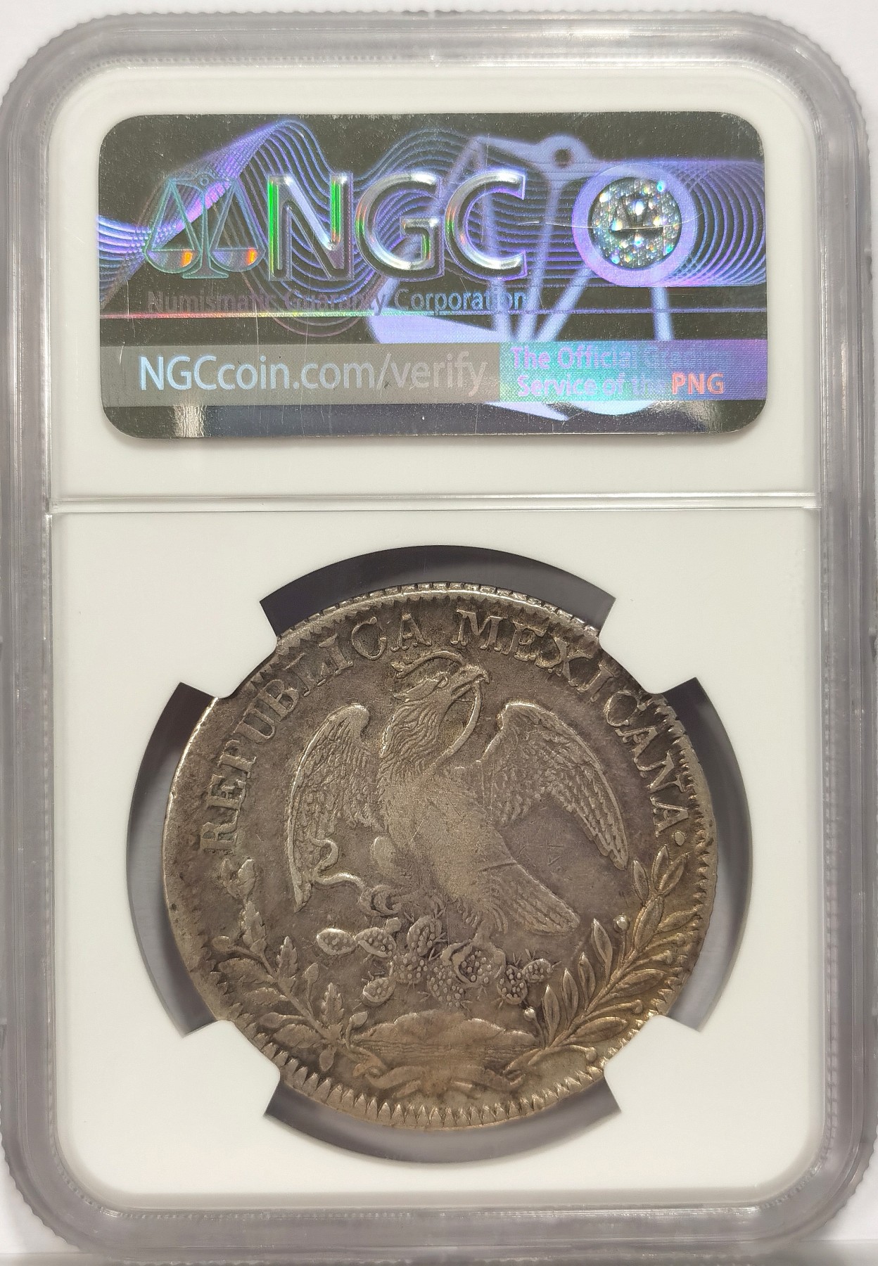 博洋堂世界钱币拍卖第034期（全场包邮） NGC XF 墨西哥1836年ZS OM版花边鹰洋，早期难得打制清晰