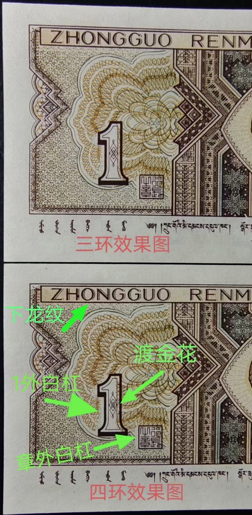 全国罕见十连号珍品背巧王