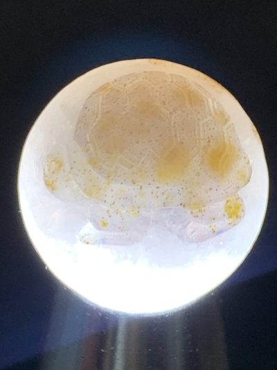 精美满冰飘亚光糖心料战国红玛瑙手工俏色巧雕金钱龟珠一颗！ 精美满冰飘亚光糖心料战国红玛瑙手工俏色巧雕金钱龟珠一颗！