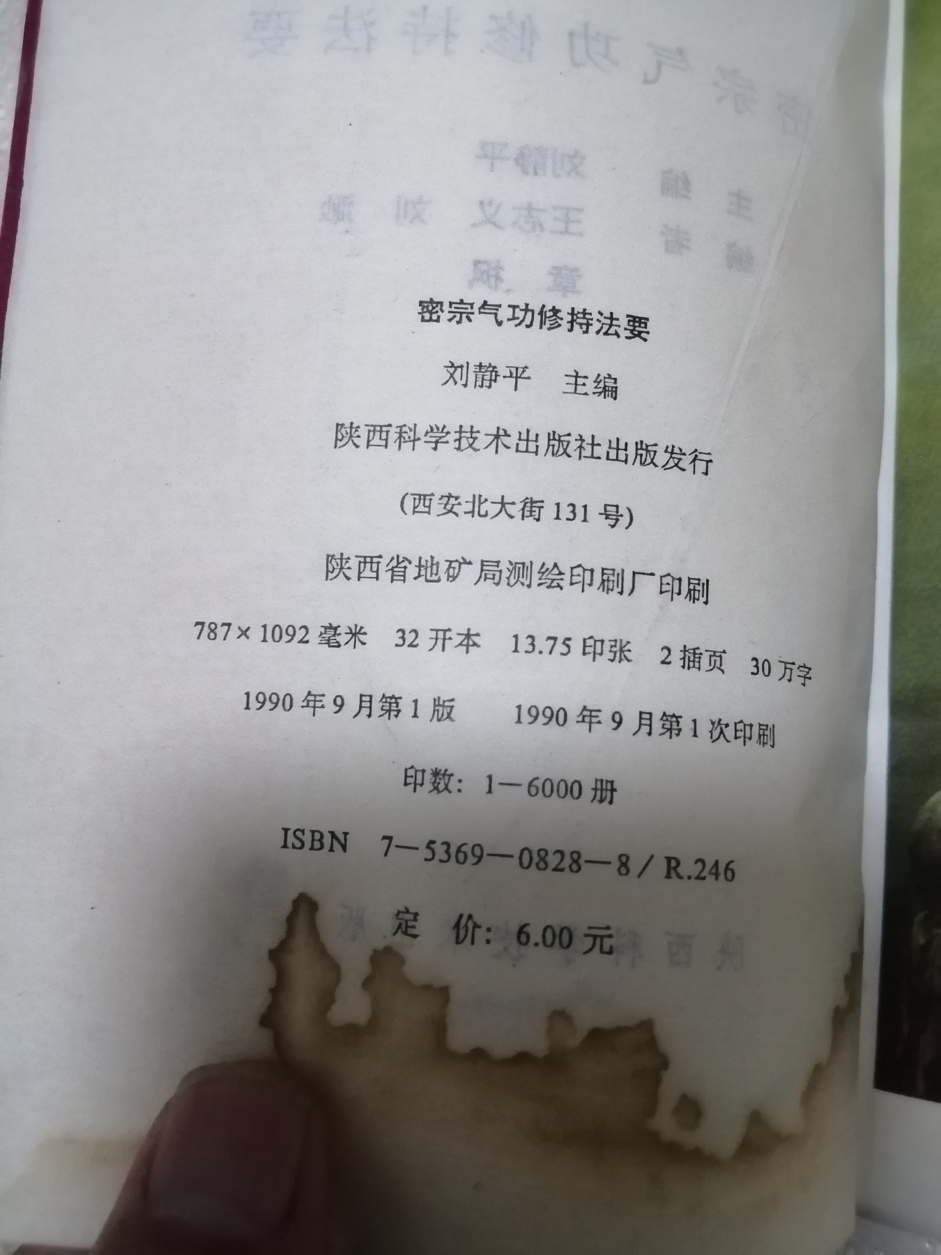 《密宗气功修持法要》