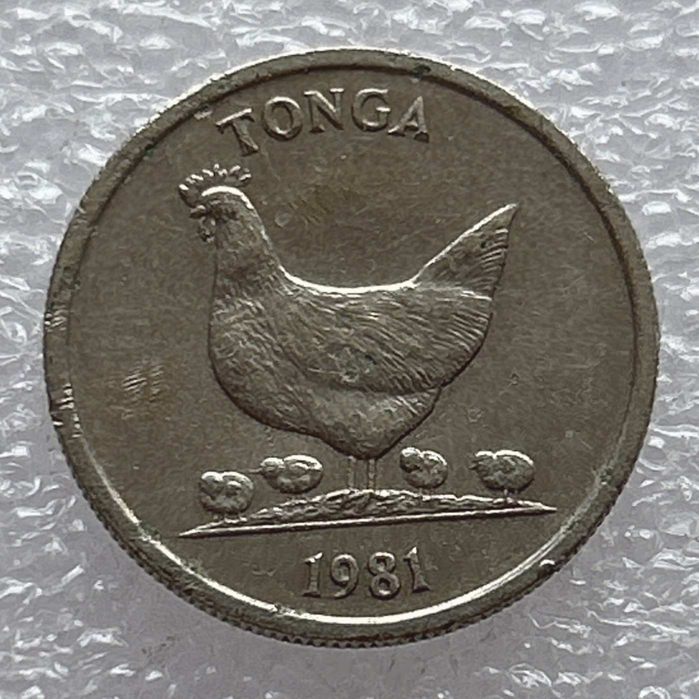 全场一元起拍 世界钱币散币场 第八期 1981年汤加5分--野鸡