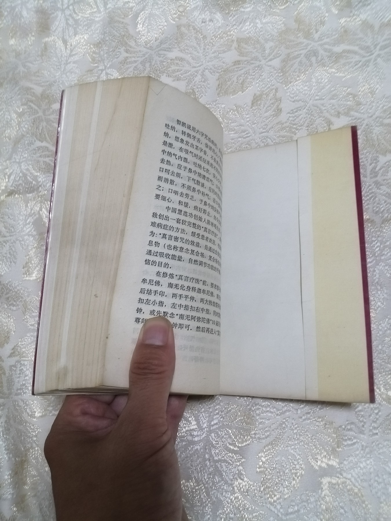 《密宗气功修持法要》