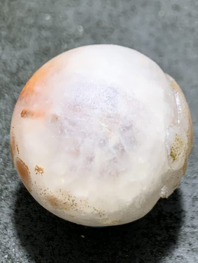 精美满冰飘亚光糖心料战国红玛瑙手工俏色巧雕金钱龟珠一颗！ 精美满冰飘亚光糖心料战国红玛瑙手工俏色巧雕金钱龟珠一颗！