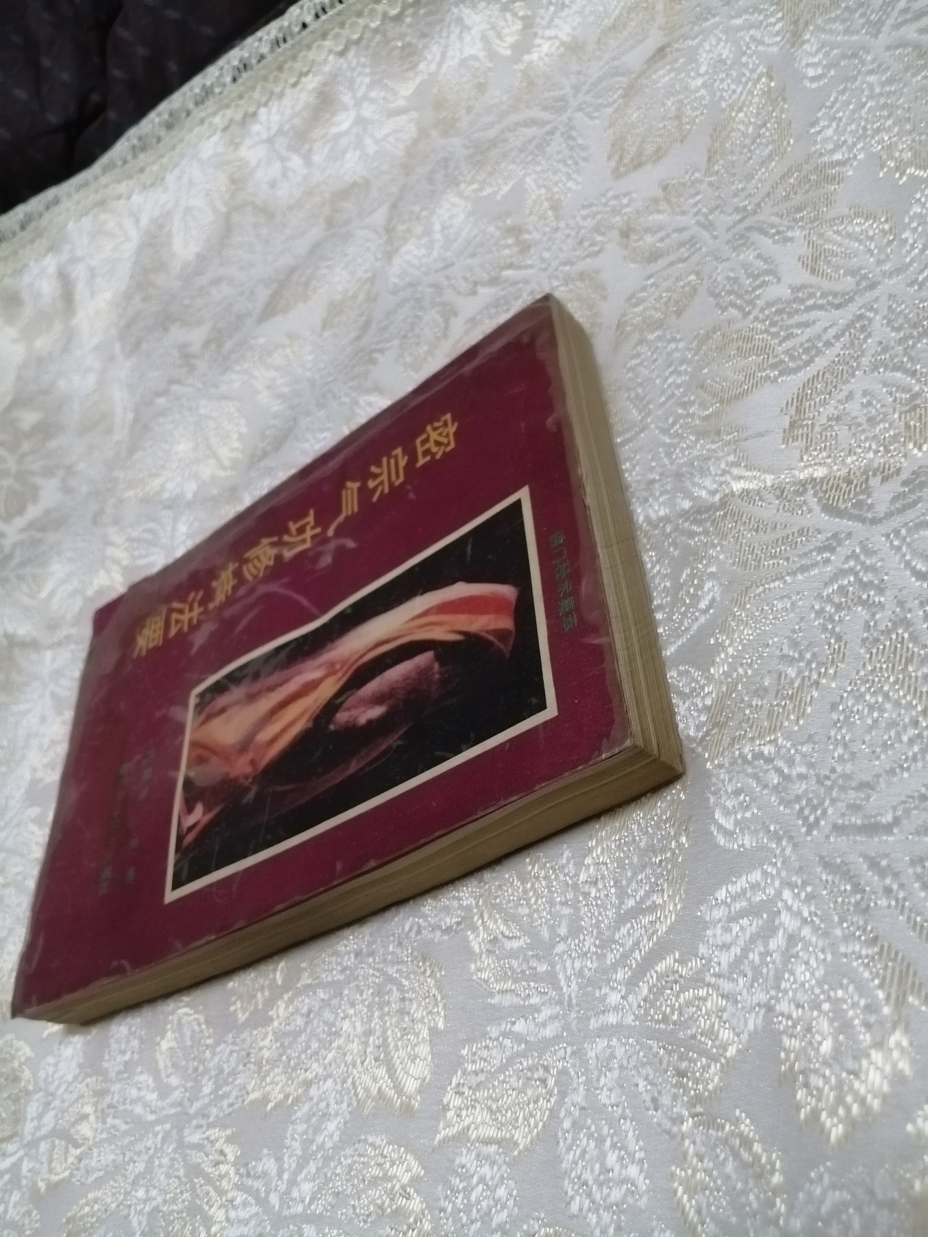 《密宗气功修持法要》