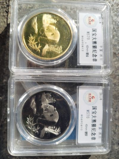 2011年 国宝大熊猫纪念章。两枚 镀金 镀银。 - 2011年 国宝大熊猫纪念章。两枚 镀金 镀银。