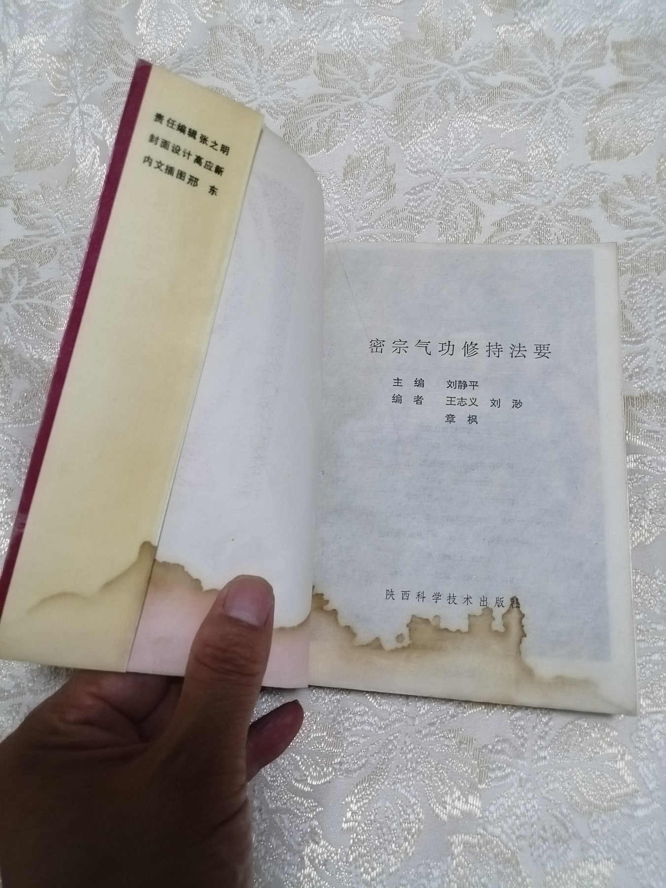 《密宗气功修持法要》