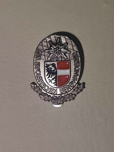 棕熊的第一次勋章小拍（苏德英法意章 二战军品烟卡等） - 德奥徽章一枚 雪绒花标志