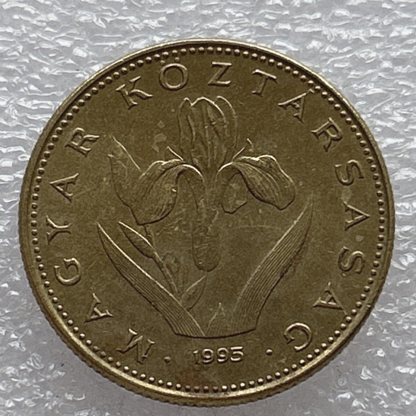 全场一元起拍 世界钱币散币场 第6期 1995年匈牙利20福林