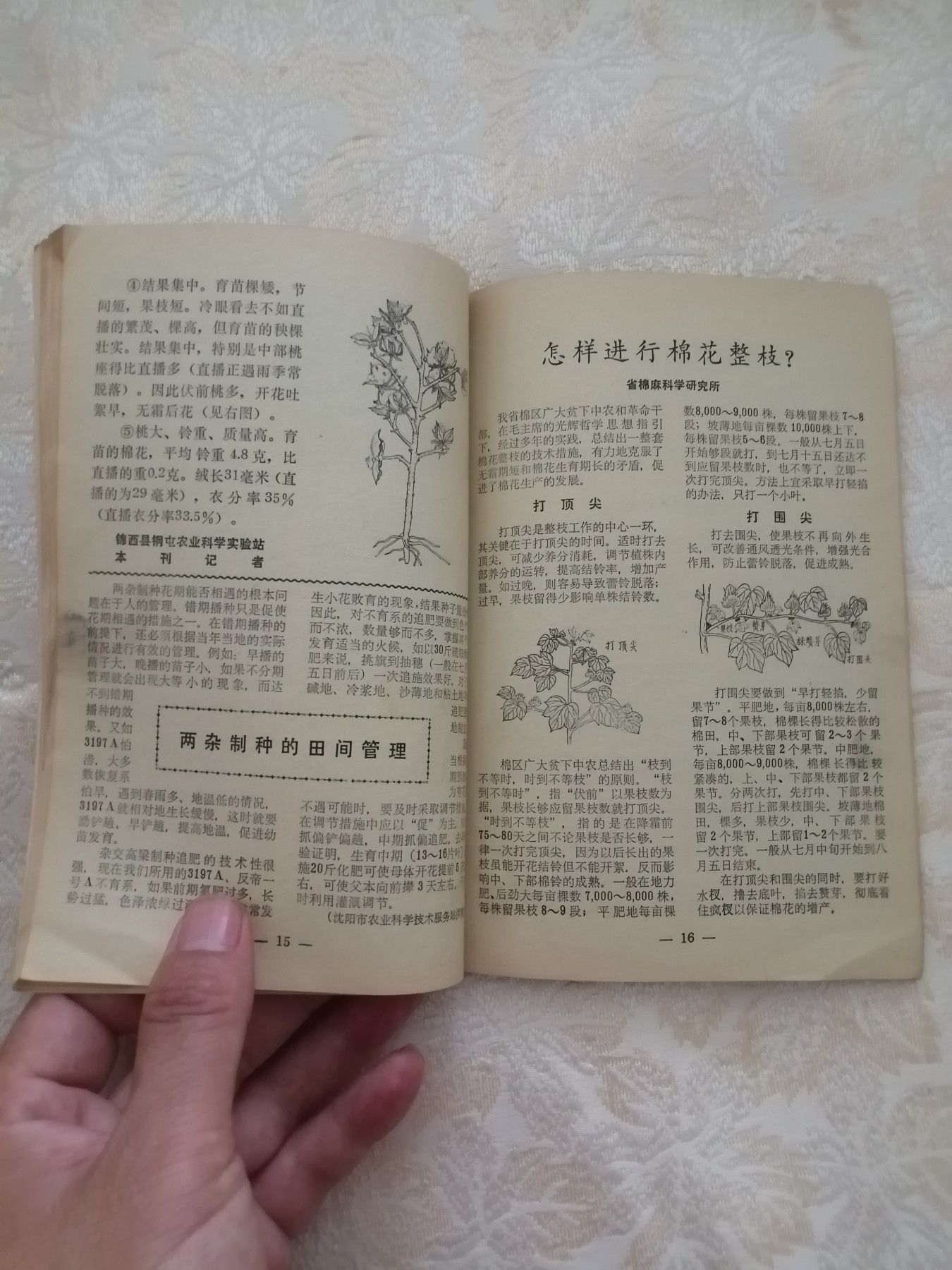 新农业（1971年第8期）