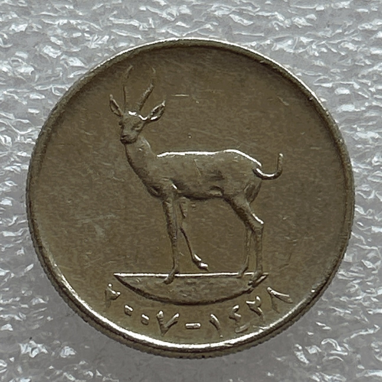 全场一元起拍 世界钱币散币场 第七期 阿拉伯联合酋长国 阿联酋 25费尔铜镍硬币 鹿 