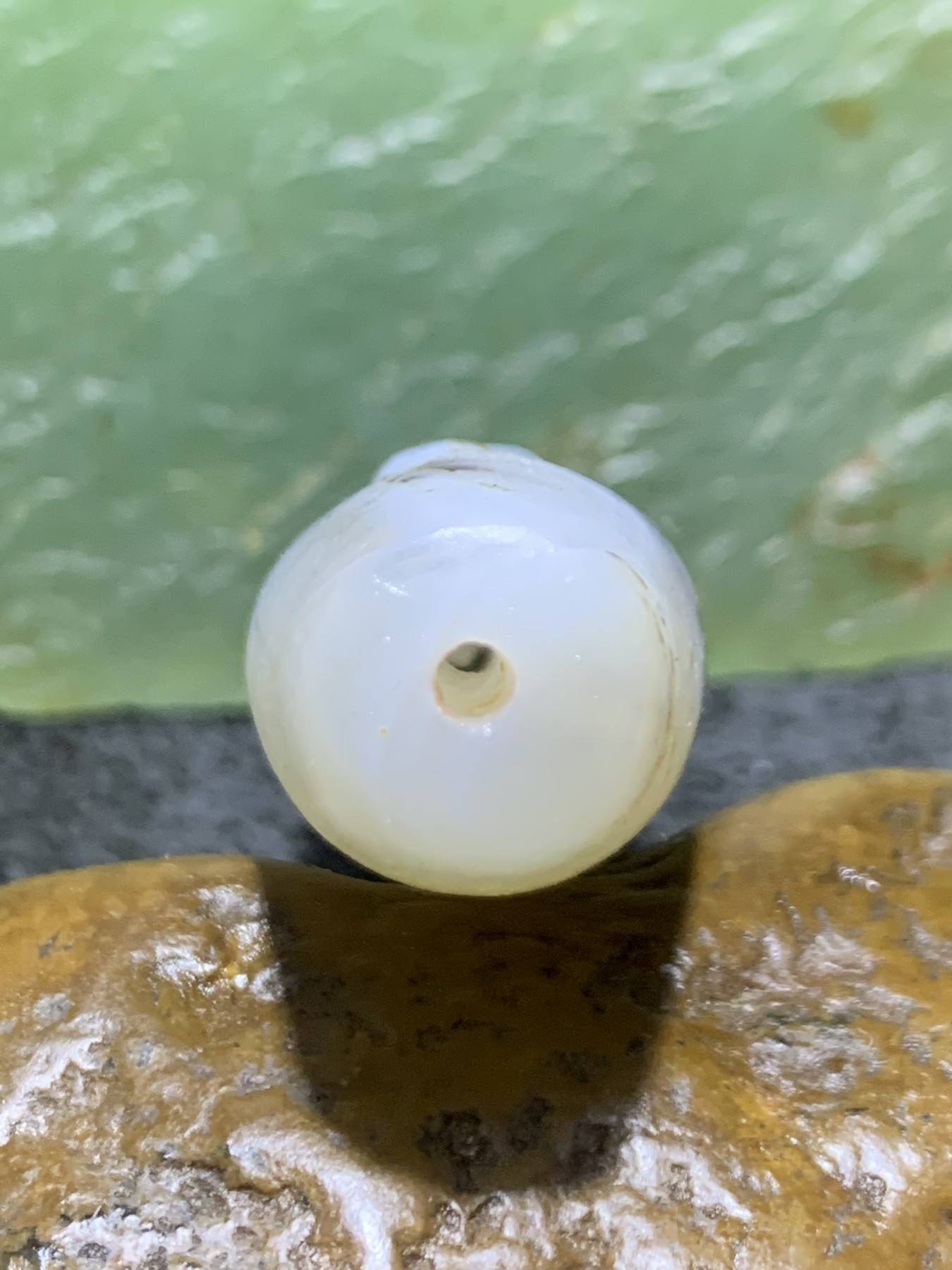 精美高玉化亚光海洋玉髓手工俏色巧雕求仙问道意境大桶珠一个