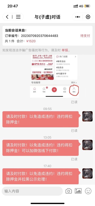 戎马世界章牌大赏第41期 - 上期拍卖逆天鸽子，已经提高押金，各位引以为戒