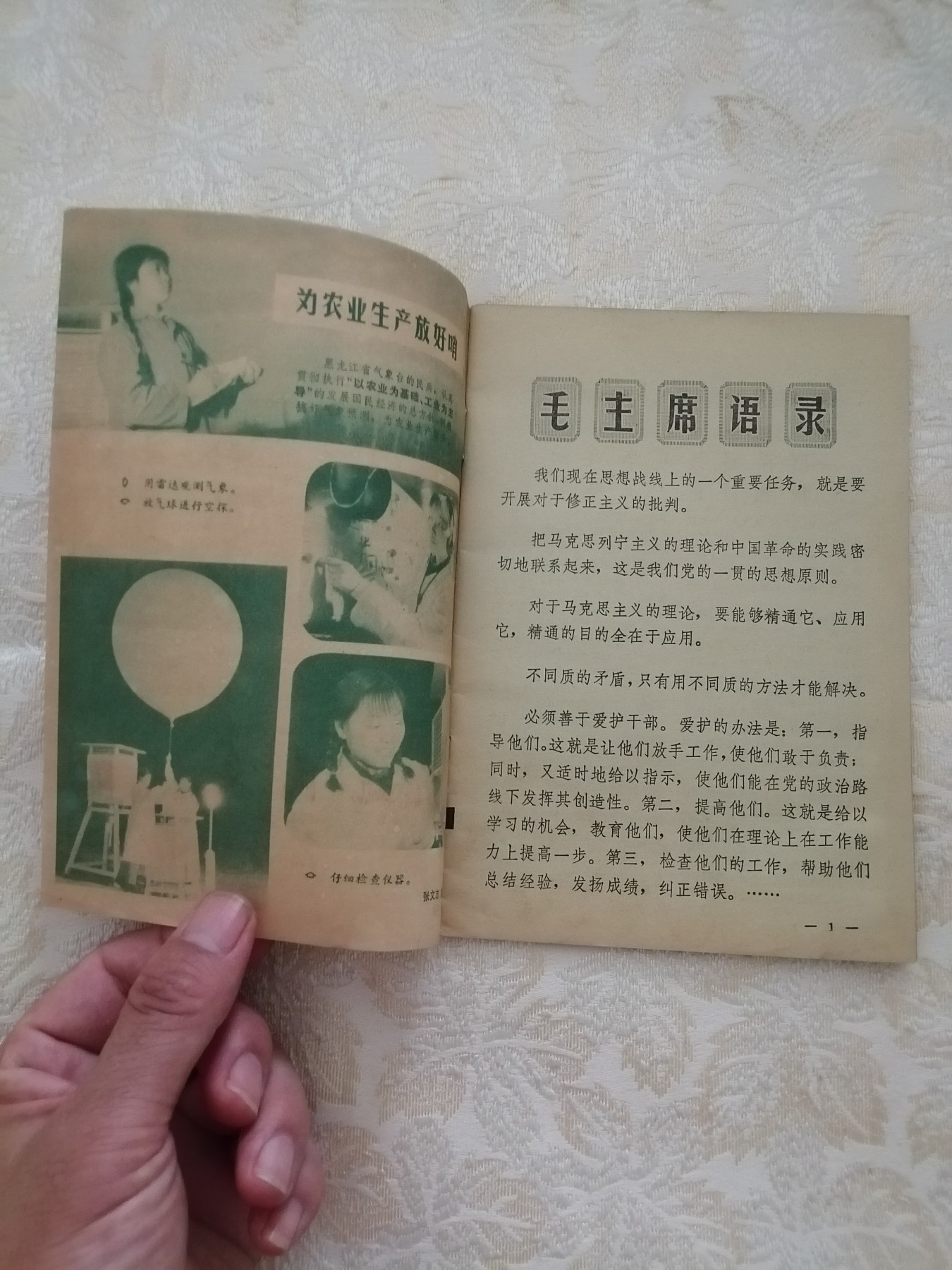 东北民兵（1973年第10期）