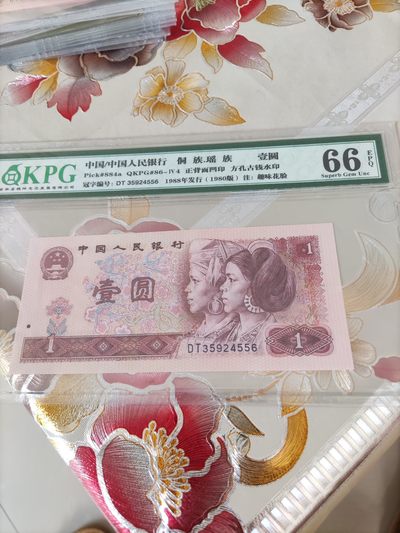 801红金龙趣味花脸 - 801红金龙趣味花脸
