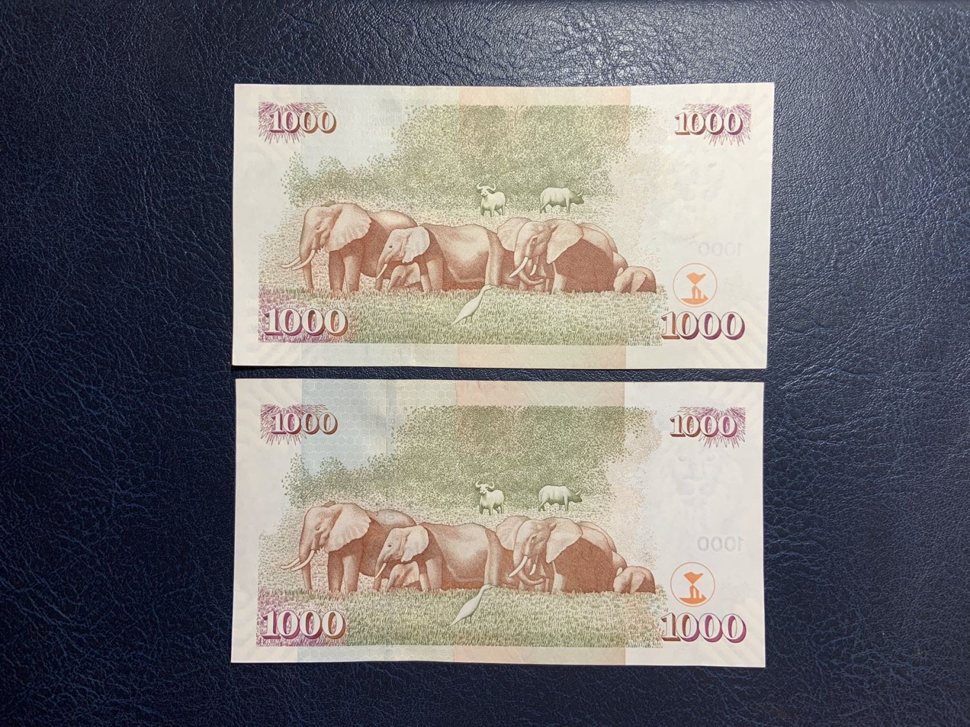 收藏联盟Quantum Auction 第274期拍卖 爱神维纳斯的故乡-塞浦路斯 肯尼亚2010年1000先令两连号 品相UNC 象群 瑕疵细节如图
