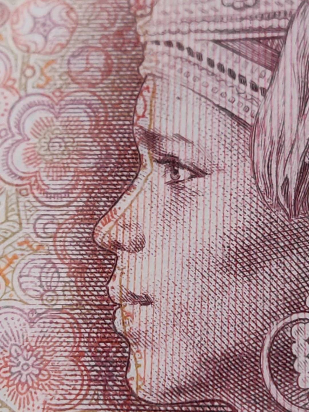 801红金龙趣味花脸