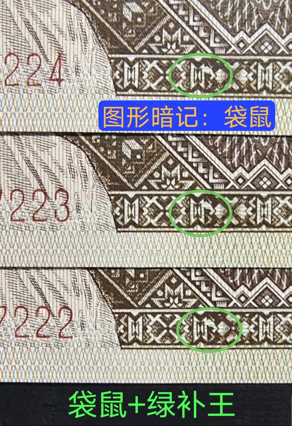开眼！特稀少暗记袋鼠🦘·绿补王补号十连