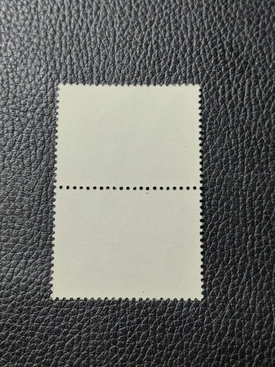 洪涛臻品批发群 精选邮票限时拍卖第1119期  热门品种，特73井冈山  盖销  8-4 二连，白胶润到流油。老纪特三俗稀缺，经典热门票，版撕全品嘎嘎绝，撕口新，适合收藏，喜欢不要错过，全品可评级